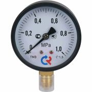 Манометр ТМ-310P (0...1,0 МРа) G1/4